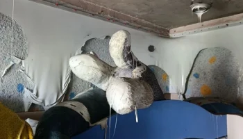 Но сегодня мы хотим рассказать вам историю, которая заставила наши сердца встрепенуться. 5
