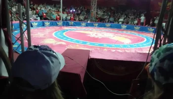 Более 150 семей посетили удивительную цирковую программу в Иркутске &mdash; это было настоящее шоу, полное магии и восторга! 8